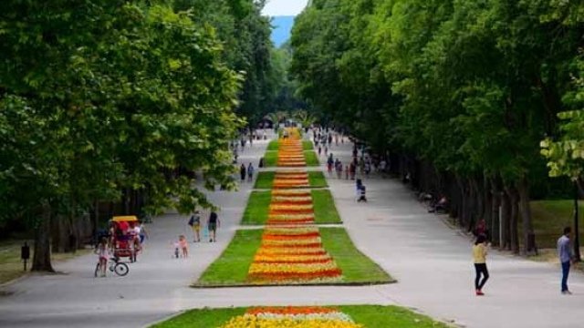 <p>
	<em>Снимка: община Варна</em></p>
