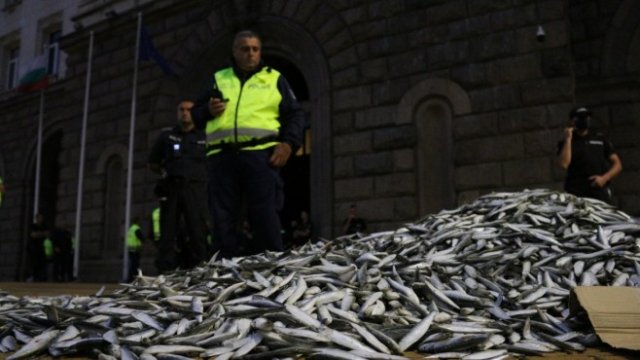 <p>
	Снимка: БГНЕС</p>
