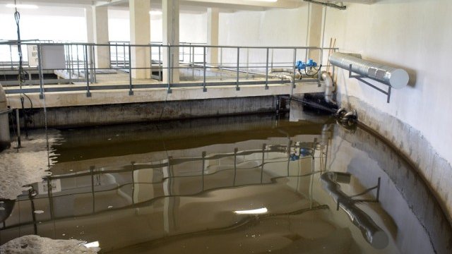 <p>
	<em>Снимка: БТА</em></p>
