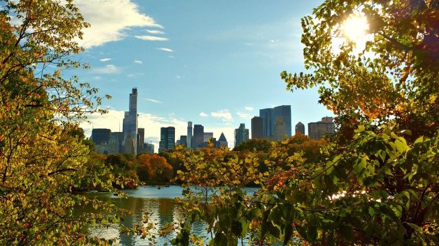 <p>
	<em>Снимка: pixabay.com</em></p>
