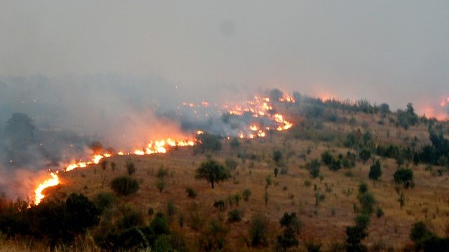 <p>
	<em>Снимка: БТА</em></p>
