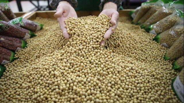 <p>
	<em>Снимка: Ройтерс</em></p>
