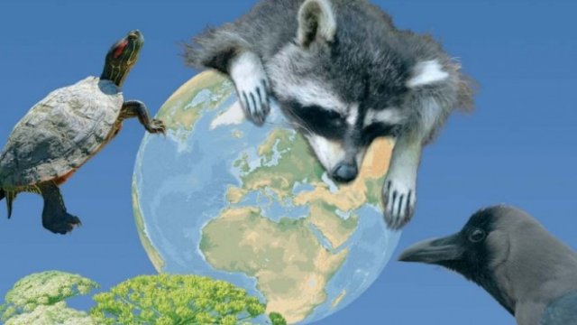 <p>
	<em>Изображение: АТЛАС на инвазивните чужди видове от значение за Европейския съюз</em></p>
