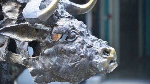 <p>
	<em>Снимка: БФБ</em></p>
