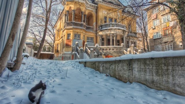 Кадър на деня за 16 февруари