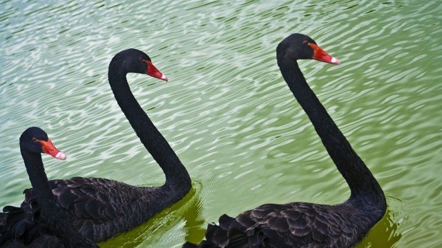 <p>
	<em>Снимка:&nbsp;</em><em>freeimages.com</em></p>
