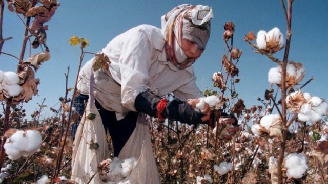 <p>
	<em>Снимка: архив, Ройтерс</em></p>
