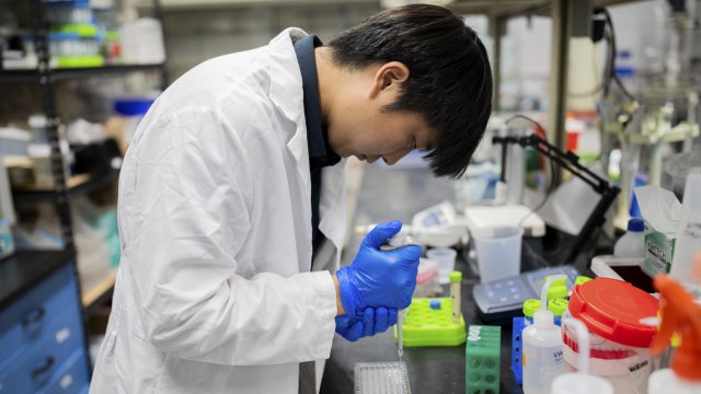 Снимка: Bloomberg L.P.