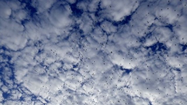 <p>
	<em>Снимка: Pixabay</em></p>
