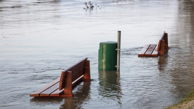 Снимка: Pixabay