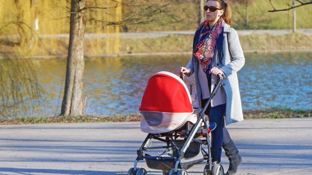 Снимка: Pixabay