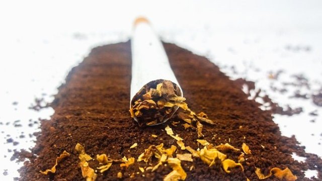 <p>
	<em>Снимка: Pixabay</em></p>
