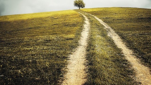 <p>
	<em>Снимка: Pixabay</em></p>
