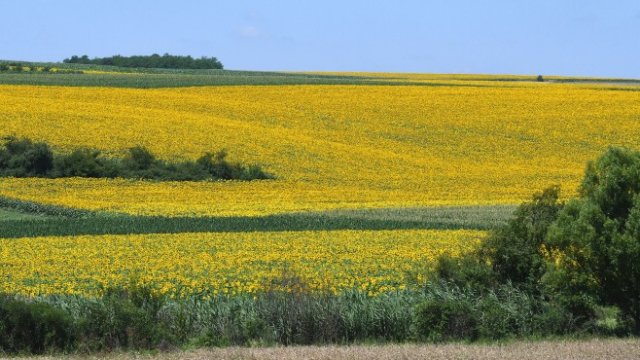 <p>
	<em>Снимка: БТА</em></p>
