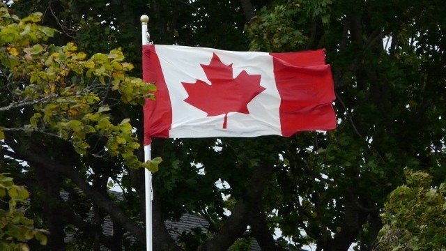 <p>
	<em>Снимка: Pixabay</em></p>
