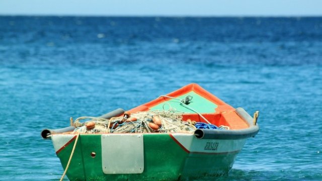 <p>
	<em>Снимка: Pixabay</em></p>
