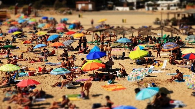 <p>
	<em>Снимка: Pixabay</em></p>
