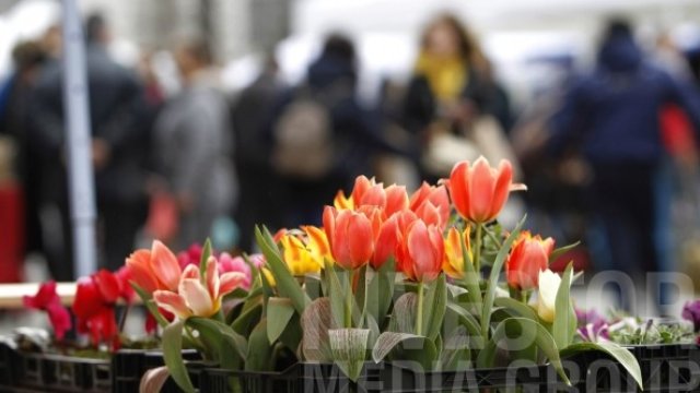 <p>
	Фермерски пазар в София.&nbsp;<em>Снимка: Олег Попов, Investor Media Group</em></p>
