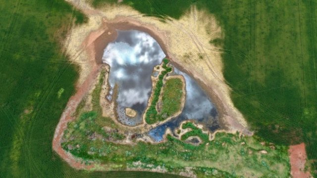 <p>
	<em>Снимка: Carla Gottgens/Bloomberg</em></p>
