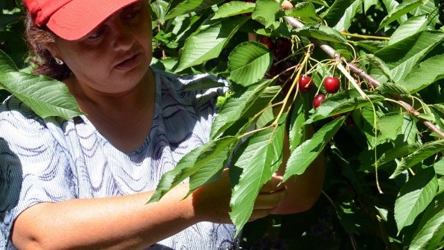 <p>
	<em>Снимка: архив, БТА</em></p>
