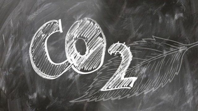 <p>
	<em>Снимка: Pixabay</em></p>
