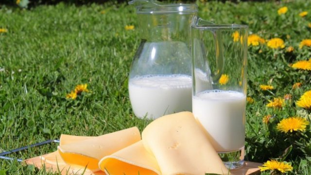 С. Присадашки: При производителите на млечни продукти у нас няма голямо движение на цените