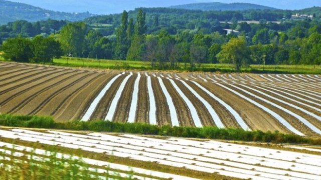 <p>
	<em>Снимка: Pixabay.com</em></p>
