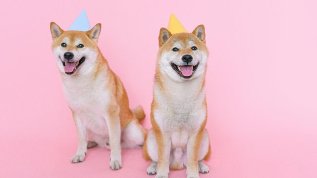 Снимка: pexels.com