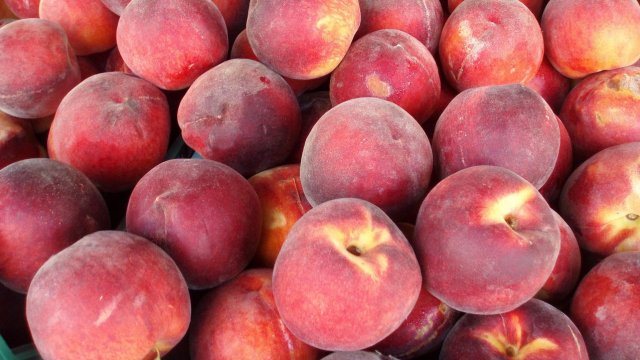 Снимка: Pixabay