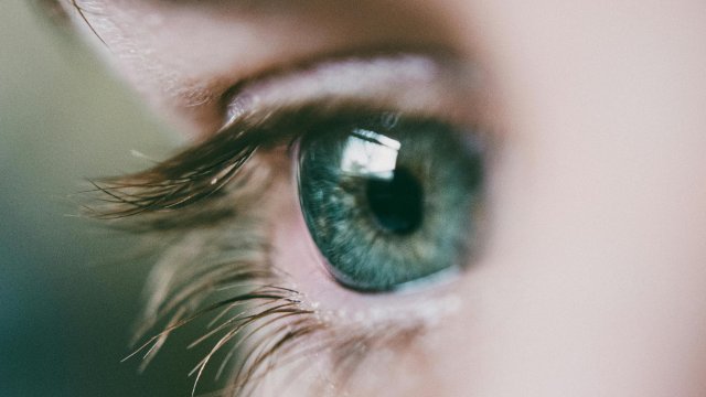 Снимка: Pexels