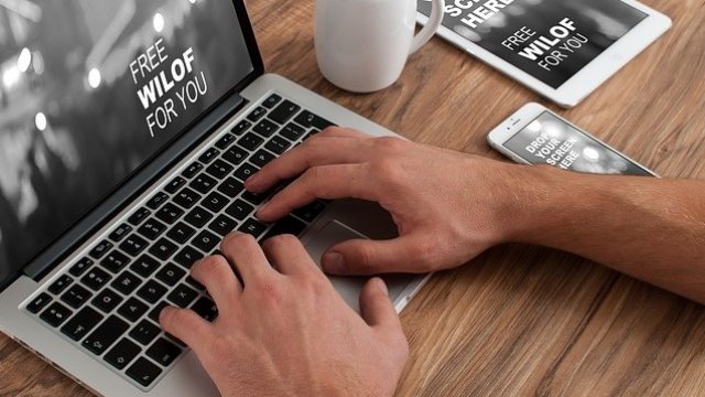 <p>
	<em>Снимка: Pixabay</em></p>
