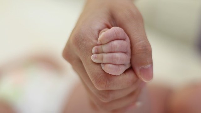 <p>
	<em>Снимка: Pixabay</em></p>
