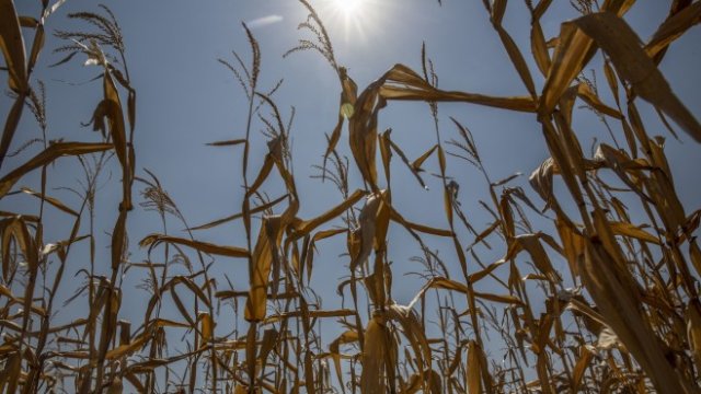 <p>
	<em>Снимка: Вloomberg</em></p>
