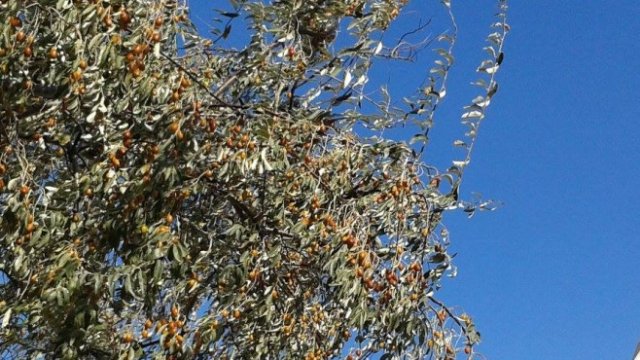 <p>
	Снимка: <em>Investor.bg</em></p>
