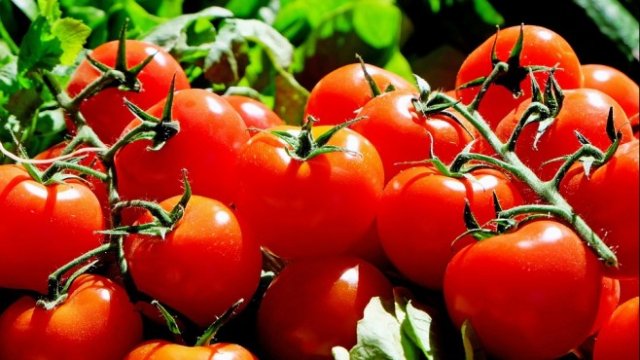 <p>
	<em>Снимка: Pixabay</em></p>
