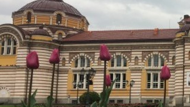 <p>
	<em>Снимка: Гергана Костадинова, БГНЕС</em></p>
