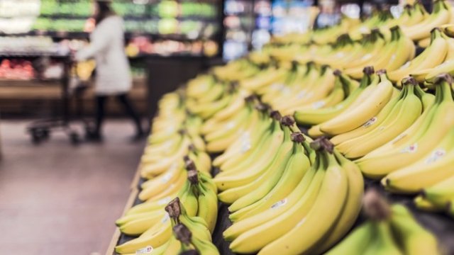 <p>
	<em>Снимка: Рixabay</em></p>
