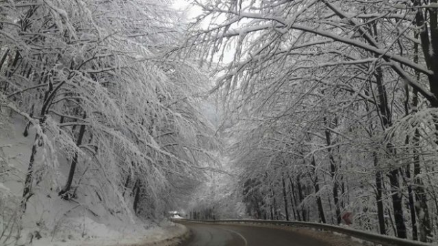 <p>
	<em>Снимка: АПИ</em></p>
