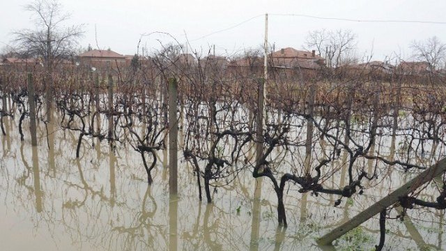 <p>
	Най-критична e обстановката в районите на Елхово, Средец и Стралджа. <em>Снимка: БТА</em></p>
