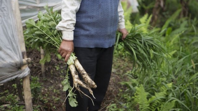 <p>
	<em>Снимка: Bloomberg</em></p>
