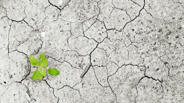 <p>
	<em>Снимка: pixabay.com</em></p>
