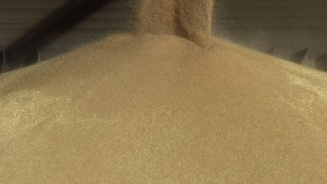 <p>
	<em>Снимка: Carla Gottgens/Bloomberg</em></p>
