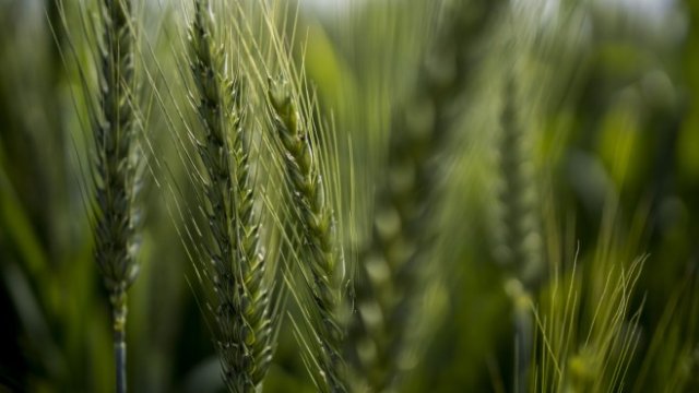 <p>
	<em>Снимка: Anindito Mukherjee/Bloomberg</em></p>
