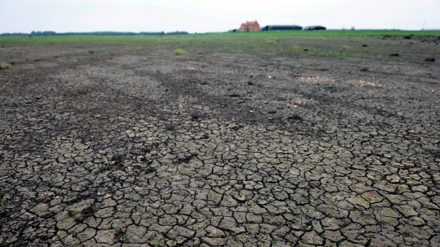 Снимка: Bloomberg L.P.