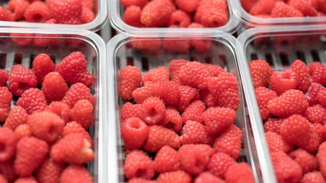 <p>
	<em>Снимка: Jason Alden/Bloomberg</em></p>
