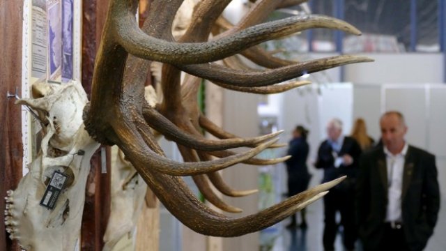 <p>
	<em>Снимка: БТА</em></p>
