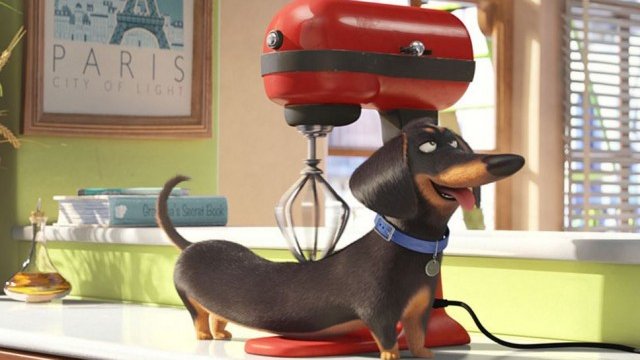 <p>
	<em>Снимка: www.thesecretlifeofpets.com</em></p>
