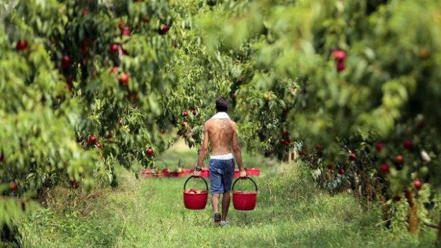 <p>
	<em>Снимка: Архив Ройтерс</em></p>
