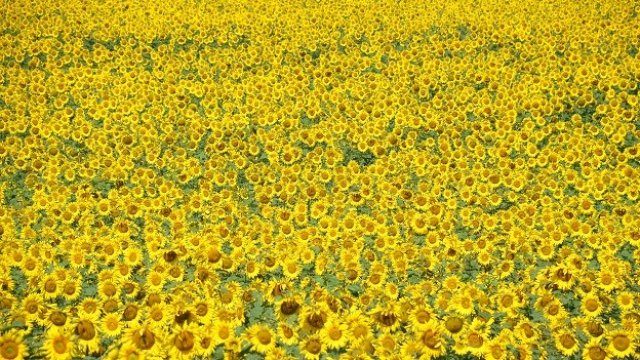 <p>
	<em>Снимка: БТА</em></p>
