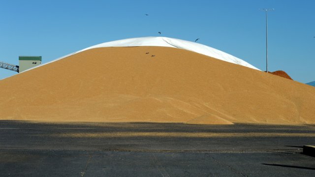 Снимка: Bloomberg